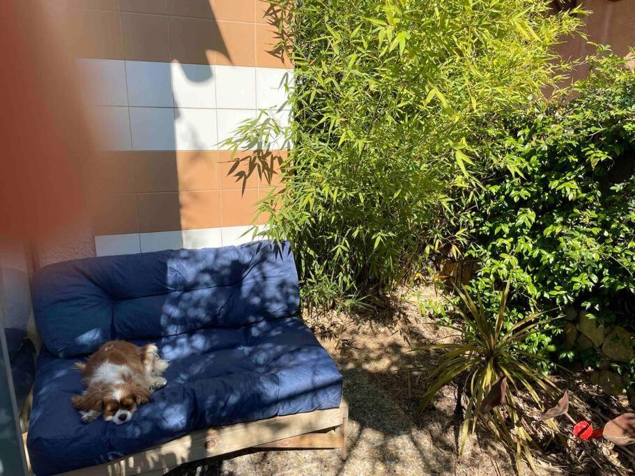 Charming Studio To Venelles 10 Minutes From Aix Dış mekan fotoğraf